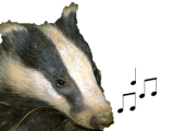 the Lyrics Badger